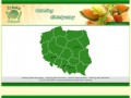 Podgląd cateringdietetyczny.pl
