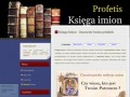 Podgląd profetis.pl