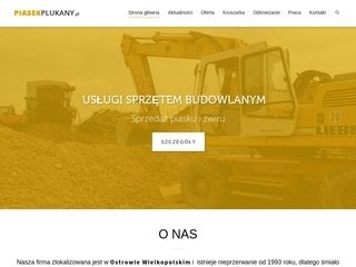 Podgląd piaskowniabibianki.pl