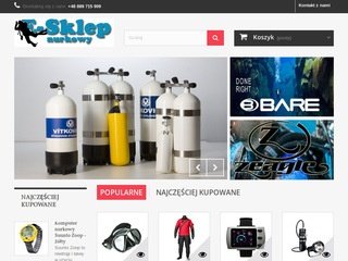 Podgląd bitsystem.com.pl