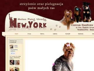 Podgląd salon-newyork.pl