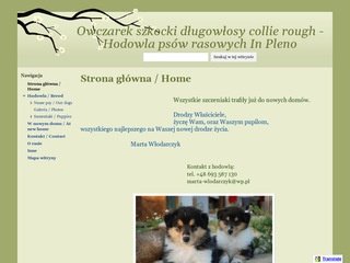 Podgląd inpleno.pl