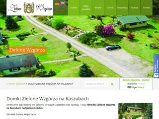 Podgląd domkikaszuby.pl