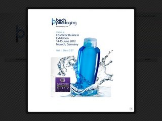 Podgląd bechpackaging.pl