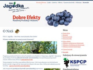 Miniaturka phu-jagodka.pl