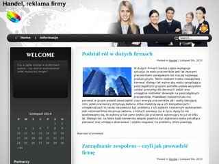 Podgląd carbotrade.pl