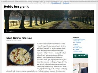 Podgląd hobbybezgranic.com