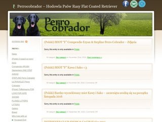 Podgląd perrocobrador.pl