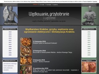 Miniaturka grzegorzswiadek.pl