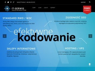 Podgląd it-serwis.net