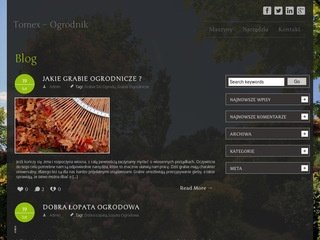 Podgląd tomex-net.pl