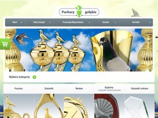 Podgląd pucharygolebie.pl