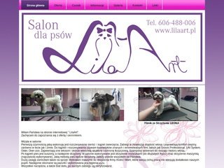 Podgląd lilaart.pl