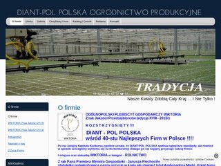 Podgląd diantpol.com