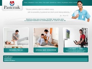 Podgląd pasternik.com.pl