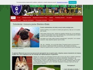 Podgląd szkoladlapsa.eu