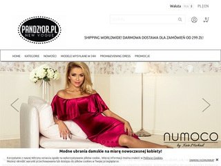 Podgląd pandzior.pl