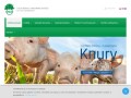 Podgląd shiuz.pl