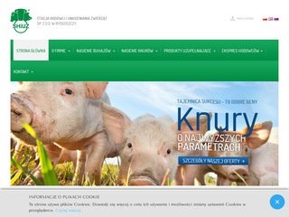 Podgląd shiuz.pl