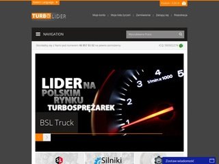 Podgląd turbolider.pl
