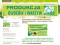 Podgląd cebulakapustabrokul.pl