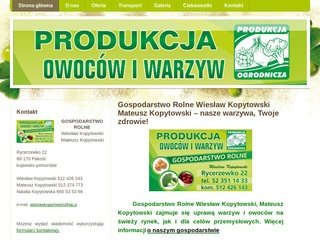 Podgląd cebulakapustabrokul.pl