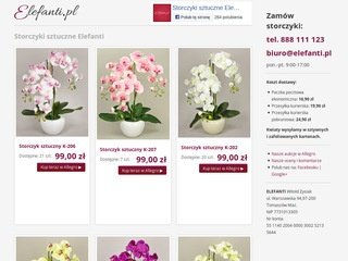 Miniaturka zysiak.pl