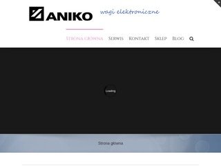 Podgląd aniko.pl
