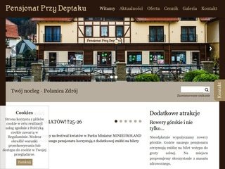Podgląd pensjonatpolanica.pl