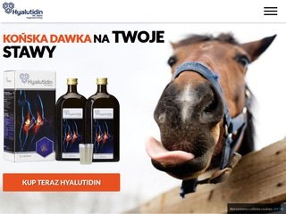 Podgląd zapaleniestawow.eu