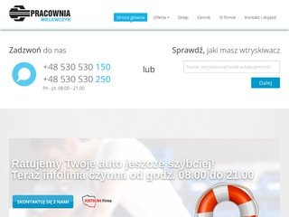 Podgląd pracowniamielewczyk.pl
