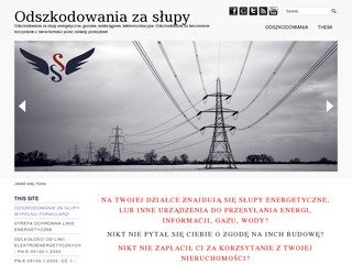 Miniaturka odszkodowaniezaslup.pl