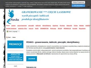 Podgląd feniks-feniks.pl