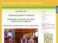Podgląd noclegi-gory.com