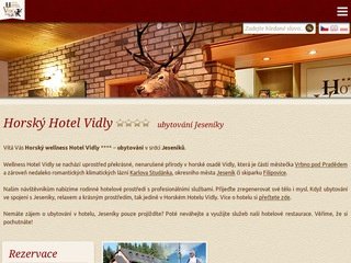 Podgląd vidly.cz/pl
