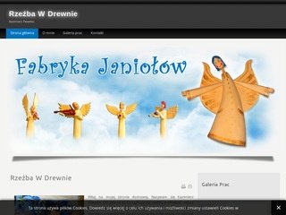 Podgląd fabrykajaniolow.pl