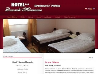Podgląd strachowo.pl