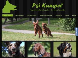 Podgląd pozytywneszkolenie.pl