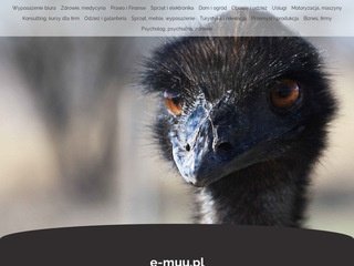 Podgląd e-muu.pl