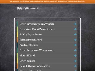 Podgląd plytyprysznicowe.pl