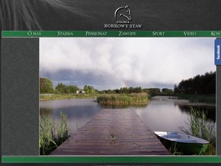 Podgląd bobrowystaw.pl