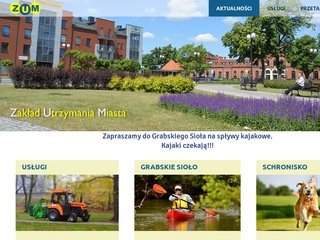 Podgląd zum-skierniewice.pl