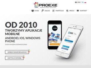 Podgląd proexe.pl