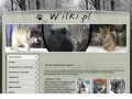 Podgląd wilki.pl