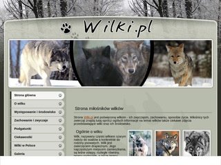 Miniaturka wilki.pl