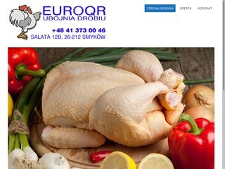 Miniaturka euroqr.com.pl