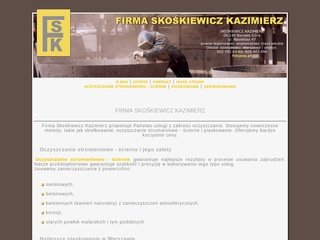 Podgląd skoskiewicz.waw.pl
