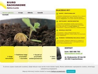 Podgląd biuro-lucka.pl