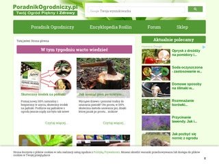 Podgląd poradnikogrodniczy.pl