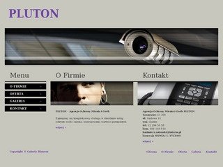 Podgląd pluton.ngb.pl